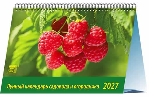 19712