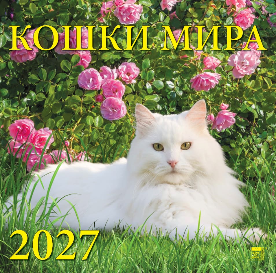 70704