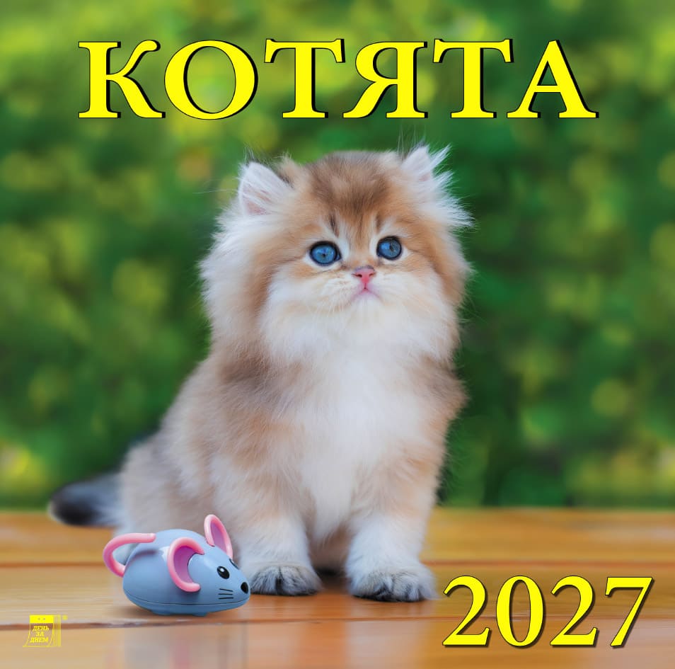 70705