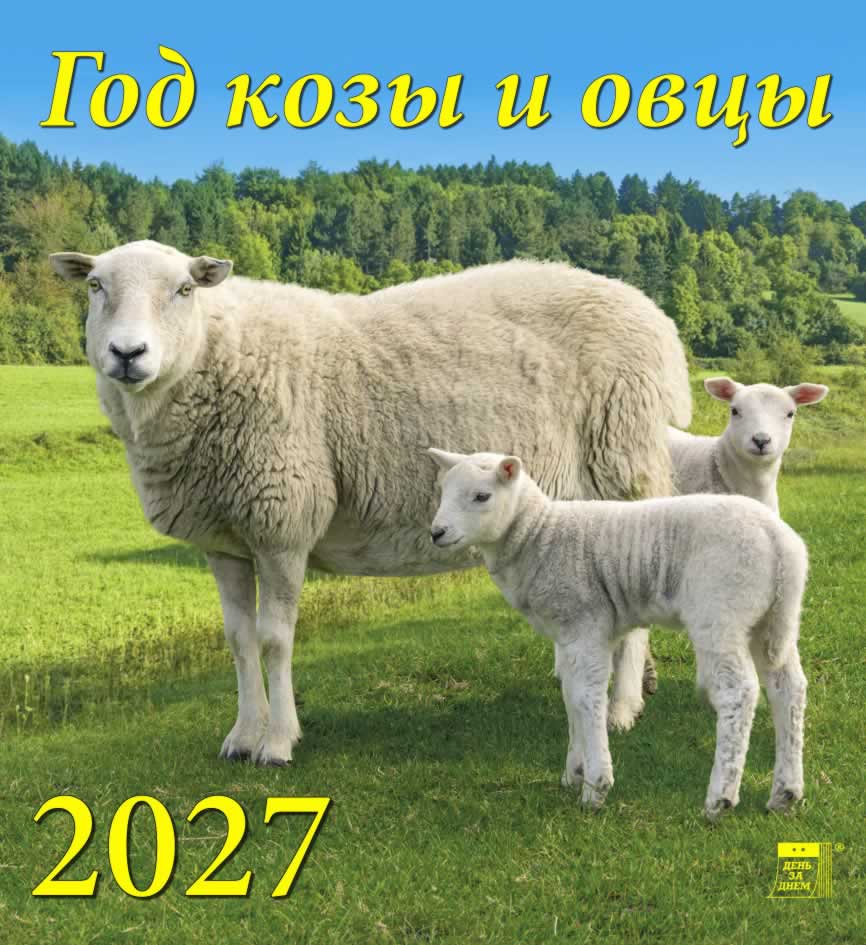 45706